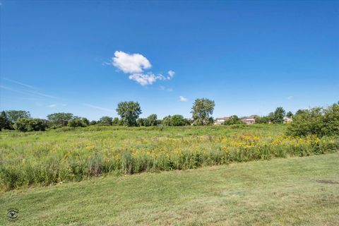 Tiny photo for 19824 Maydell Court, Tinley Park, IL 60487 (MLS # 12596356)