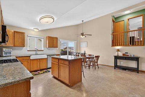 Tiny photo for 25557 S Mallard Drive, Channahon, IL 60410 (MLS # 12633657)