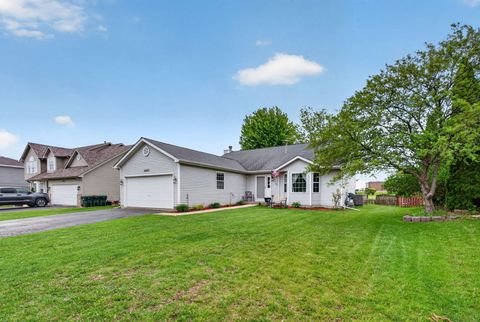 Photo of 25557 S Mallard Drive, Channahon, IL 60410 (MLS # 12633657)