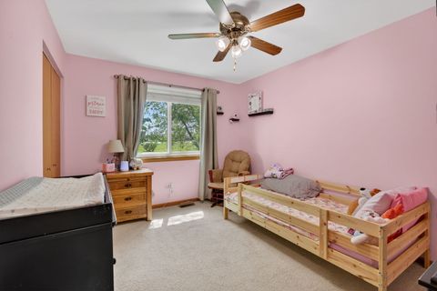Tiny photo for 25557 S Mallard Drive, Channahon, IL 60410 (MLS # 12633657)