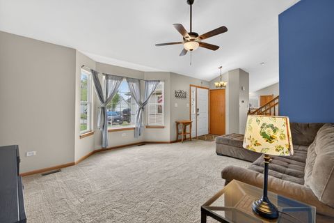Tiny photo for 25557 S Mallard Drive, Channahon, IL 60410 (MLS # 12633657)