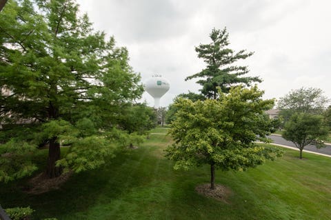 Tiny photo for 11113 Wisconsin Court #2D, Orland Park, IL 60467 (MLS # 12711382)