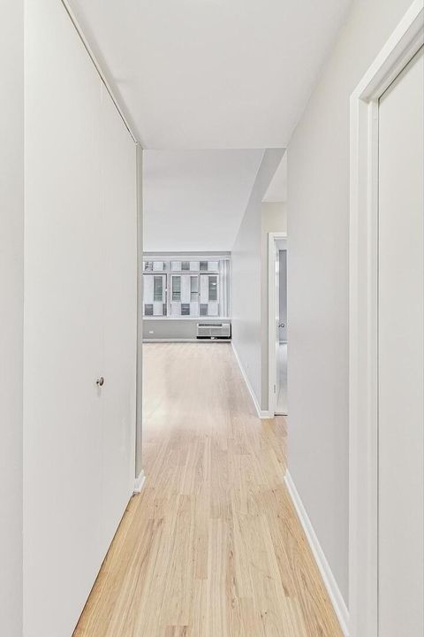 Tiny photo for Chicago, IL 60611 (MLS # 12606354)