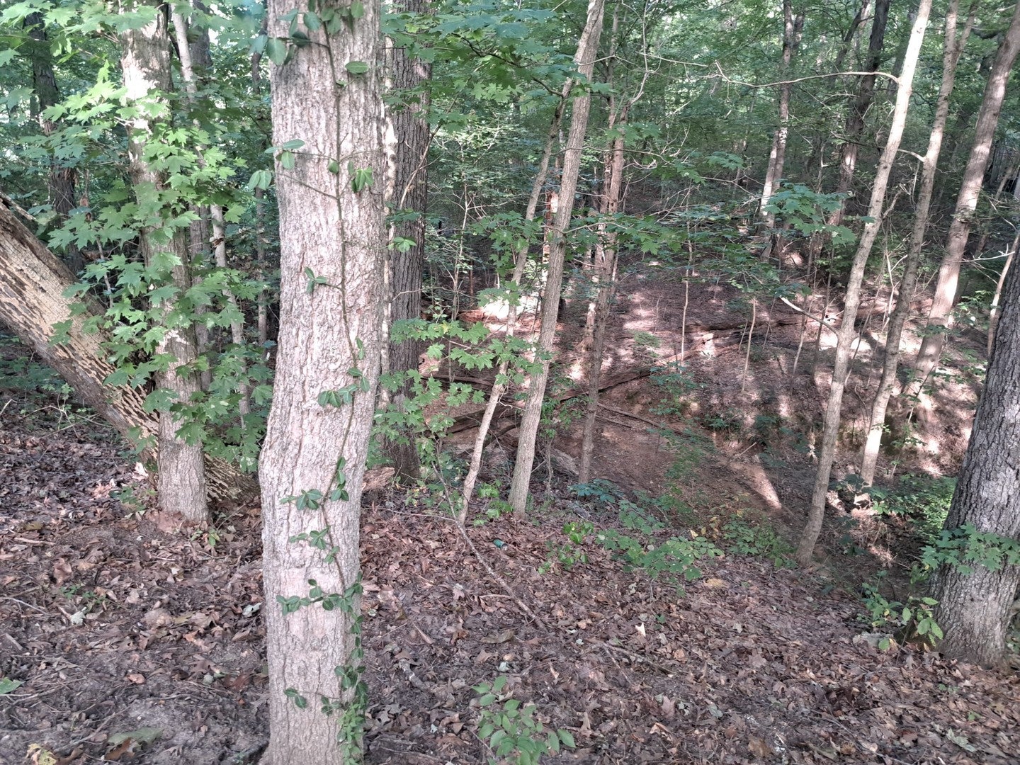 3952 & 4013 DEVILS FORK Road