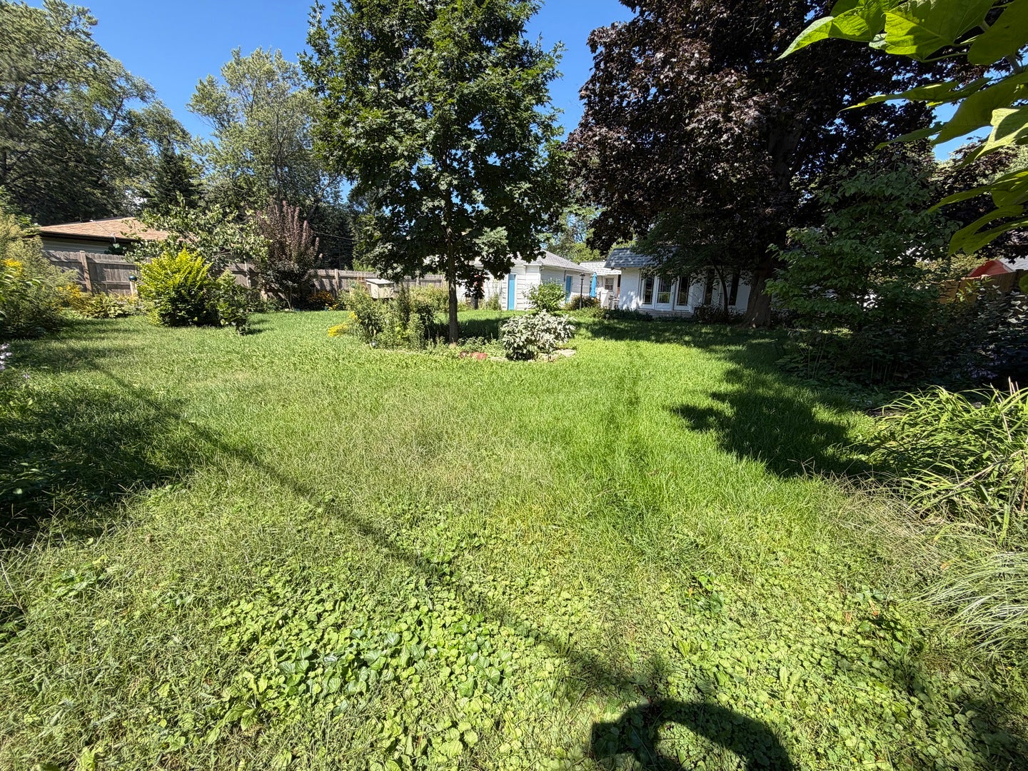 99 Mariposa Avenue