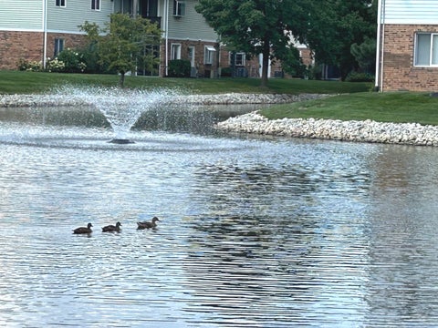 Tiny photo for 7236 Cottonwood Court #A, Willowbrook, IL 60527 (MLS # 12771431)