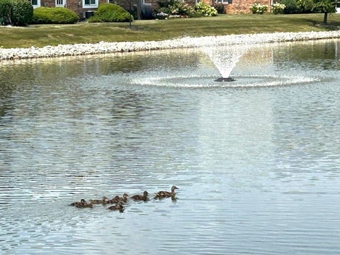 Tiny photo for 7236 Cottonwood Court #A, Willowbrook, IL 60527 (MLS # 12771431)