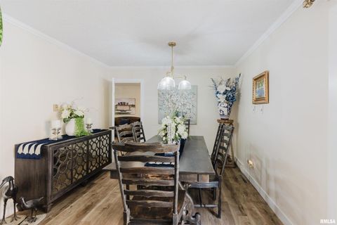 Tiny photo for 100 Prairie Road, Carterville, IL 62918 (MLS # EB460631)