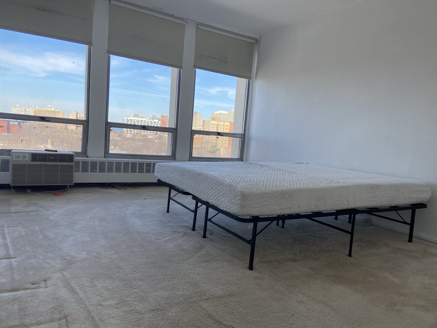 1401 E 55th Street 1005N