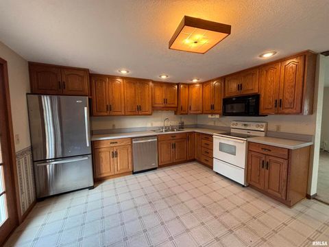 Tiny photo for 418 E DIVISION Street, Kewanee, IL 61443 (MLS # QC4268728)