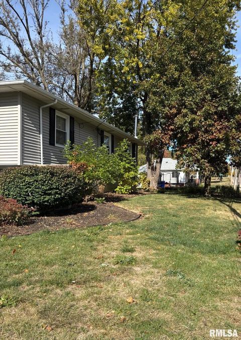 Tiny photo for 418 E DIVISION Street, Kewanee, IL 61443 (MLS # QC4268728)