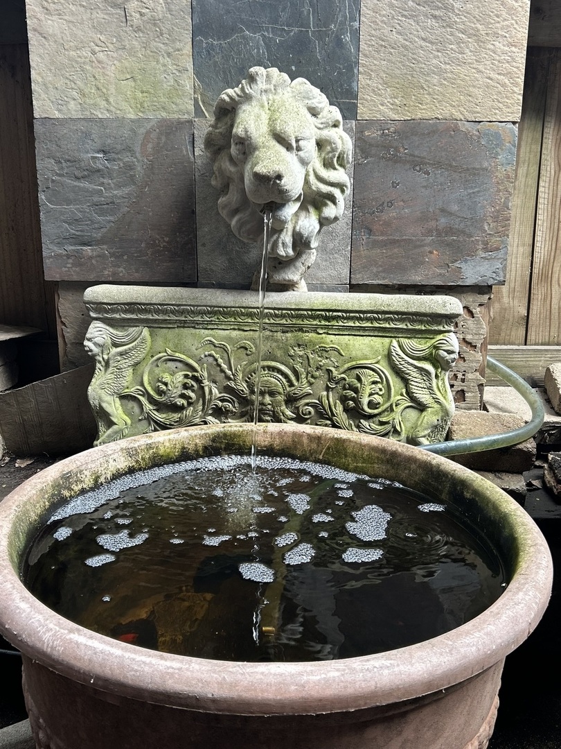 350 W Dickens Avenue Garden
