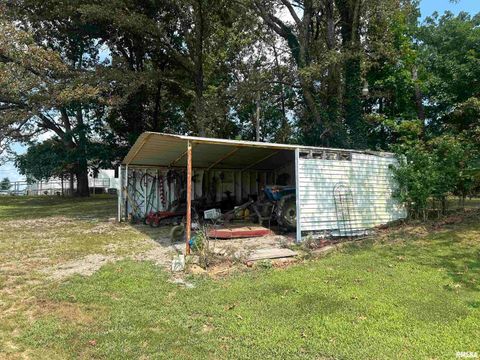 Tiny photo for 13536 Alleghany Road, Thompsonville, IL 62890 (MLS # EB460528)