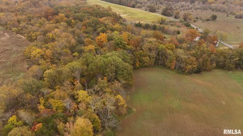 Tiny photo for 13536 Alleghany Road, Thompsonville, IL 62890 (MLS # EB460528)