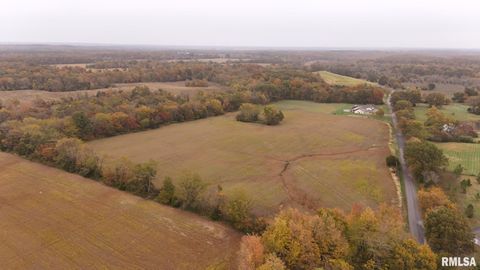 Tiny photo for 13536 Alleghany Road, Thompsonville, IL 62890 (MLS # EB460528)