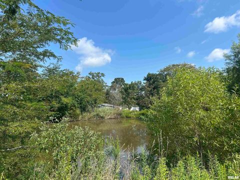 Tiny photo for 13536 Alleghany Road, Thompsonville, IL 62890 (MLS # EB460528)