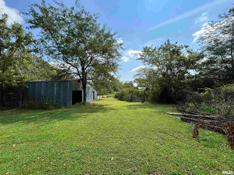 Tiny photo for 13536 Alleghany Road, Thompsonville, IL 62890 (MLS # EB460528)