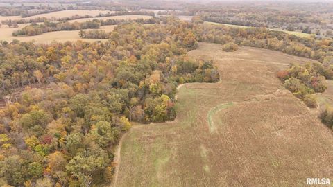 Tiny photo for 13536 Alleghany Road, Thompsonville, IL 62890 (MLS # EB460528)