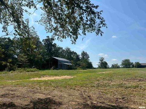 Tiny photo for 13536 Alleghany Road, Thompsonville, IL 62890 (MLS # EB460528)