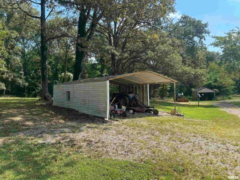 Tiny photo for 13536 Alleghany Road, Thompsonville, IL 62890 (MLS # EB460528)