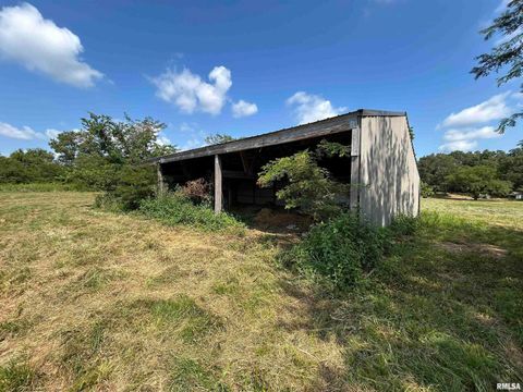 Tiny photo for 13536 Alleghany Road, Thompsonville, IL 62890 (MLS # EB460528)