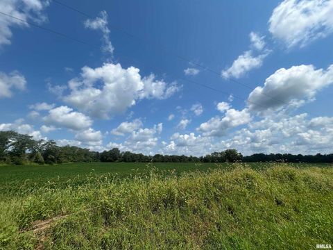 Tiny photo for 13536 Alleghany Road, Thompsonville, IL 62890 (MLS # EB460528)