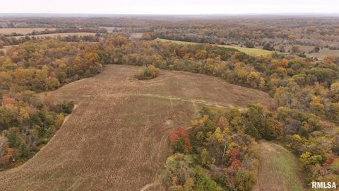 Tiny photo for 13536 Alleghany Road, Thompsonville, IL 62890 (MLS # EB460528)