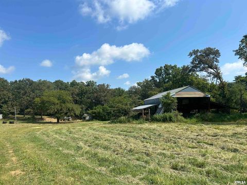 Tiny photo for 13536 Alleghany Road, Thompsonville, IL 62890 (MLS # EB460528)