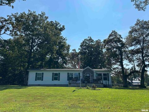 Tiny photo for 13536 Alleghany Road, Thompsonville, IL 62890 (MLS # EB460528)