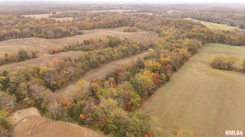 Tiny photo for 13536 Alleghany Road, Thompsonville, IL 62890 (MLS # EB460528)