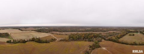 Tiny photo for 13536 Alleghany Road, Thompsonville, IL 62890 (MLS # EB460528)