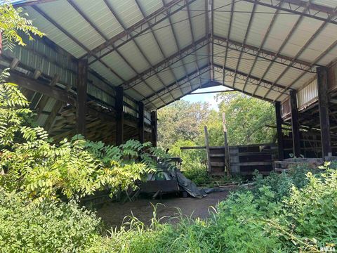 Tiny photo for 13536 Alleghany Road, Thompsonville, IL 62890 (MLS # EB460528)