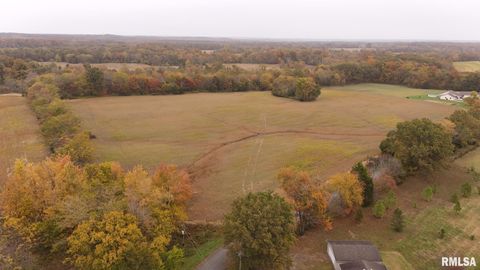 Tiny photo for 13536 Alleghany Road, Thompsonville, IL 62890 (MLS # EB460528)