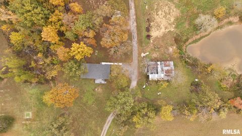 Tiny photo for 13536 Alleghany Road, Thompsonville, IL 62890 (MLS # EB460528)
