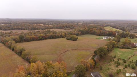 Tiny photo for 13536 Alleghany Road, Thompsonville, IL 62890 (MLS # EB460528)