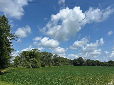 Tiny photo for 13536 Alleghany Road, Thompsonville, IL 62890 (MLS # EB460528)