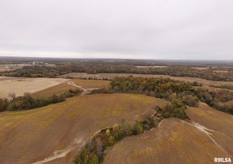 Tiny photo for 13536 Alleghany Road, Thompsonville, IL 62890 (MLS # EB460528)