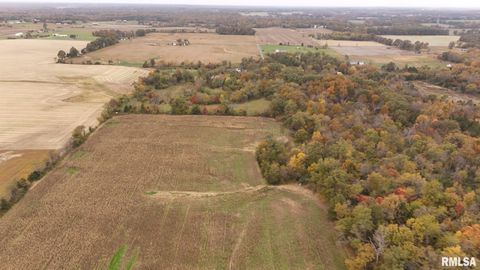 Tiny photo for 13536 Alleghany Road, Thompsonville, IL 62890 (MLS # EB460528)