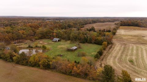 Tiny photo for 13536 Alleghany Road, Thompsonville, IL 62890 (MLS # EB460528)