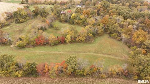 Tiny photo for 13536 Alleghany Road, Thompsonville, IL 62890 (MLS # EB460528)