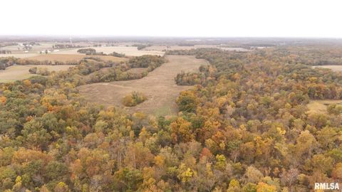 Tiny photo for 13536 Alleghany Road, Thompsonville, IL 62890 (MLS # EB460528)