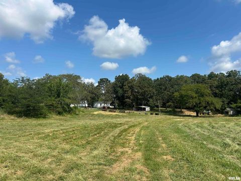 Tiny photo for 13536 Alleghany Road, Thompsonville, IL 62890 (MLS # EB460528)