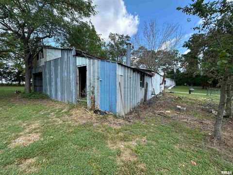 Tiny photo for 13536 Alleghany Road, Thompsonville, IL 62890 (MLS # EB460528)