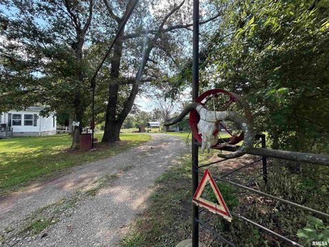 Tiny photo for 13536 Alleghany Road, Thompsonville, IL 62890 (MLS # EB460528)