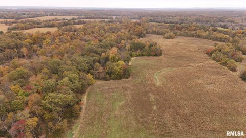 Tiny photo for 13536 Alleghany Road, Thompsonville, IL 62890 (MLS # EB460528)