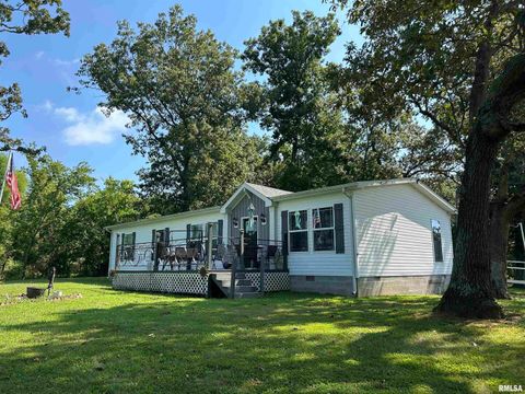 Tiny photo for 13536 Alleghany Road, Thompsonville, IL 62890 (MLS # EB460528)
