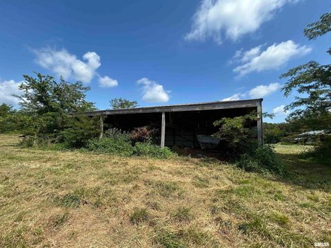 Tiny photo for 13536 Alleghany Road, Thompsonville, IL 62890 (MLS # EB460528)