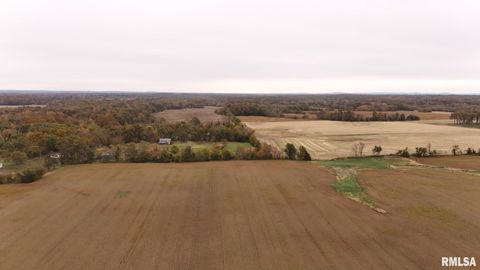 Tiny photo for 13536 Alleghany Road, Thompsonville, IL 62890 (MLS # EB460528)