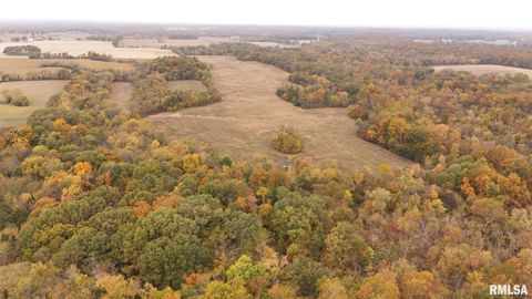 Tiny photo for 13536 Alleghany Road, Thompsonville, IL 62890 (MLS # EB460528)