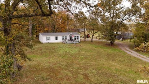 Tiny photo for 13536 Alleghany Road, Thompsonville, IL 62890 (MLS # EB460528)